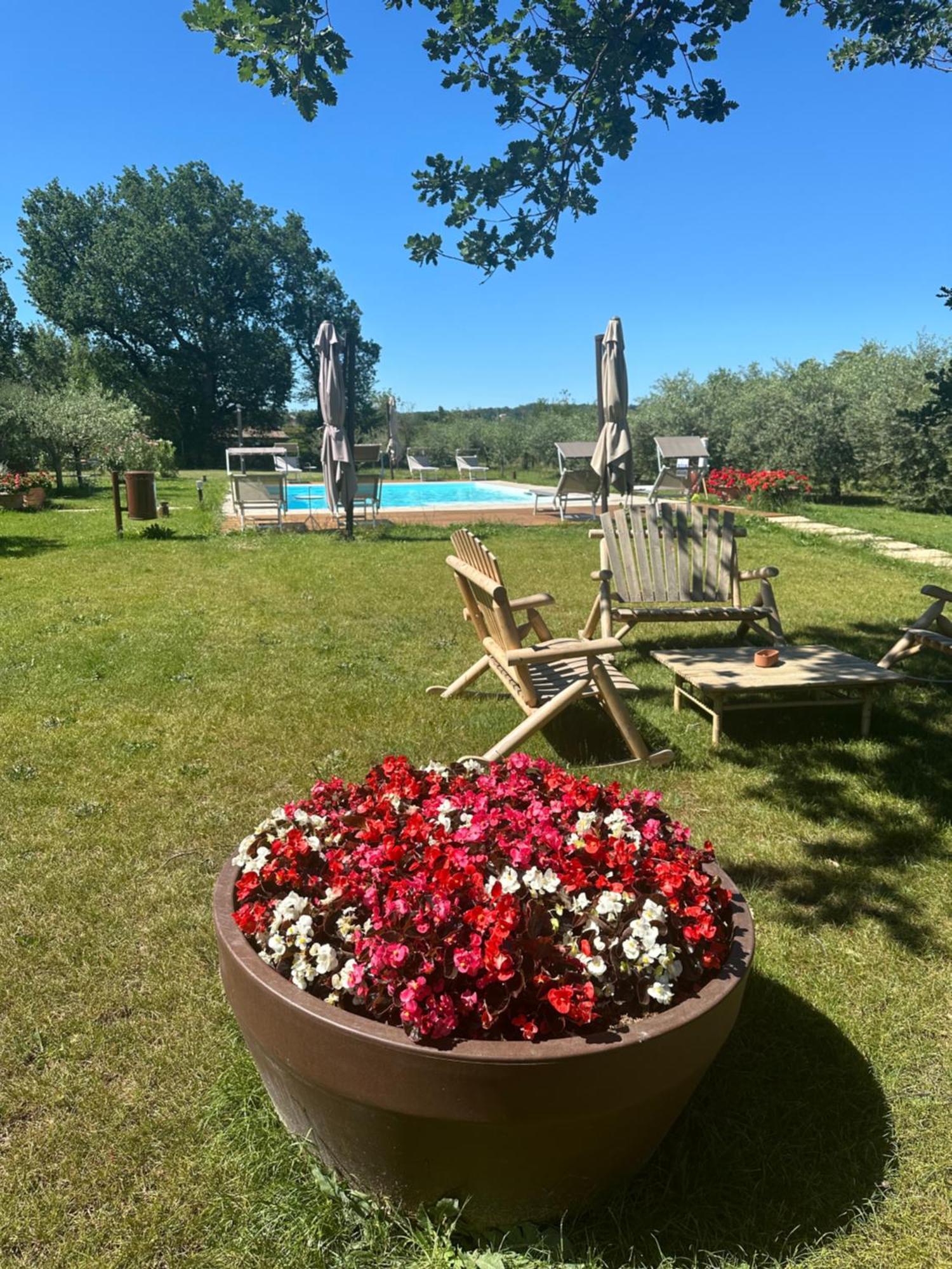 Podere Selvatici Imola Buitenkant foto